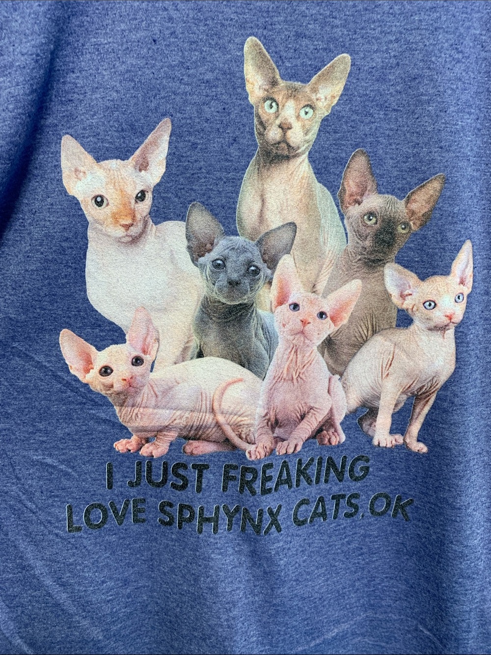 NWOT Sphynx Cat T-Shirt M